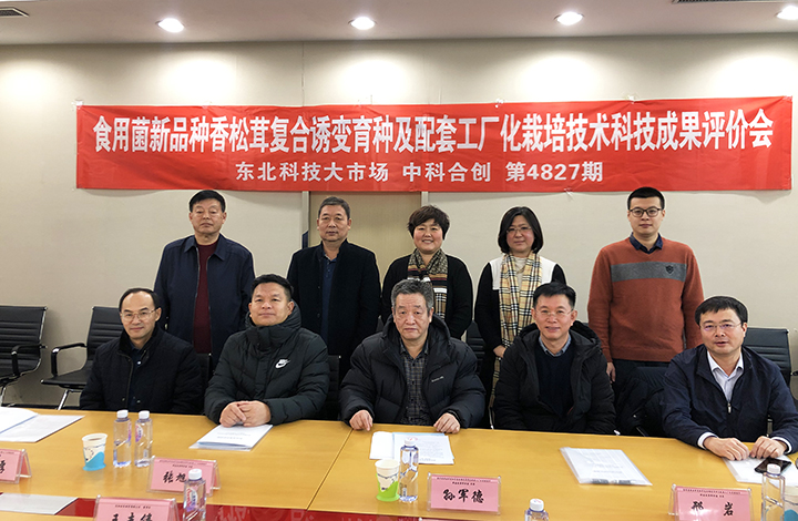 食用菌新品种‘香松茸一号’选育及工厂化栽培技术研究与应用 anli.jpg